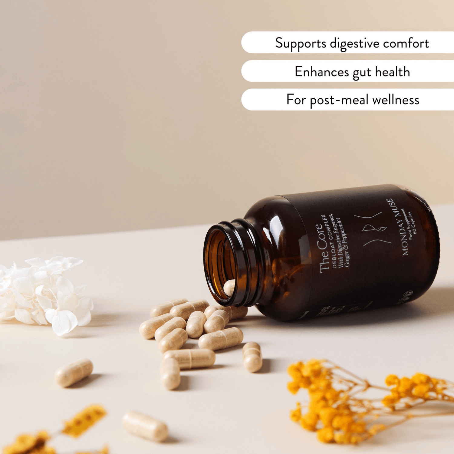 Gut - Skin Reset Bundle - Monday Muse