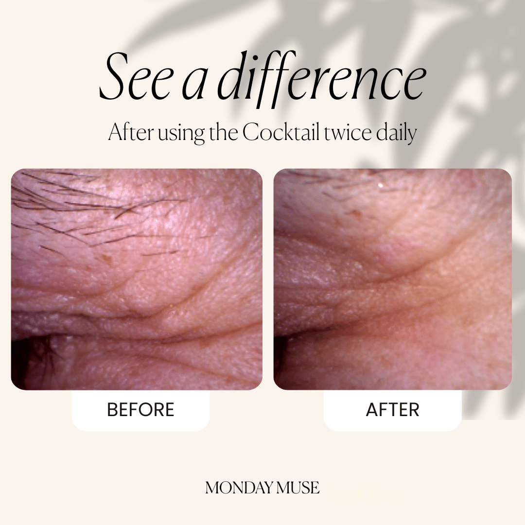 The Cocktail - Eternal Cream - Monday Muse