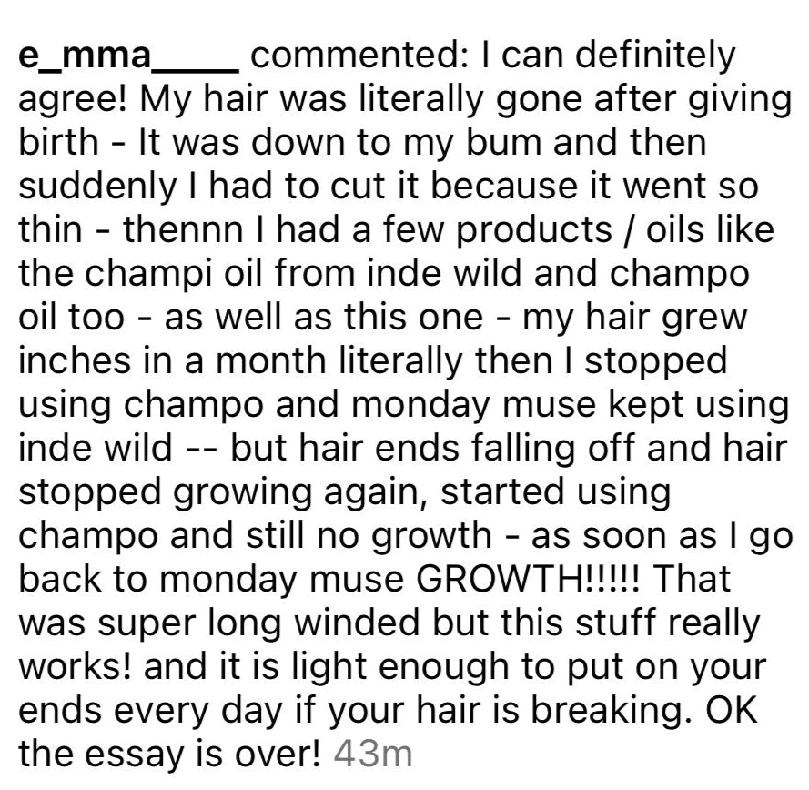 Customer message to Monday Muse