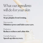 Plump & Purify Bundle - Monday Muse